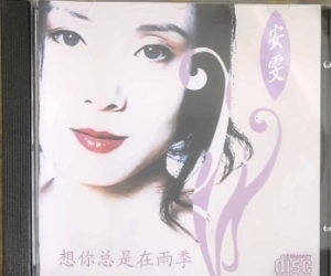 安雯《想你总是在雨季[首版]》1994[WAV+CUE]