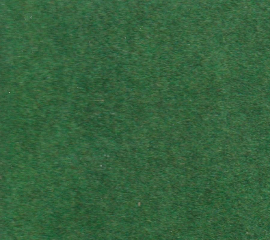 BACK.jpg